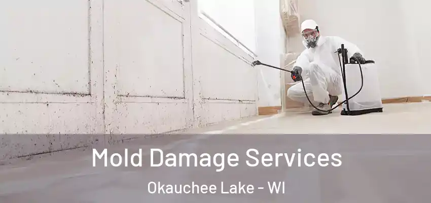  Mold Damage Services Okauchee Lake - WI