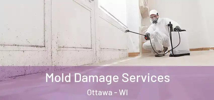  Mold Damage Services Ottawa - WI