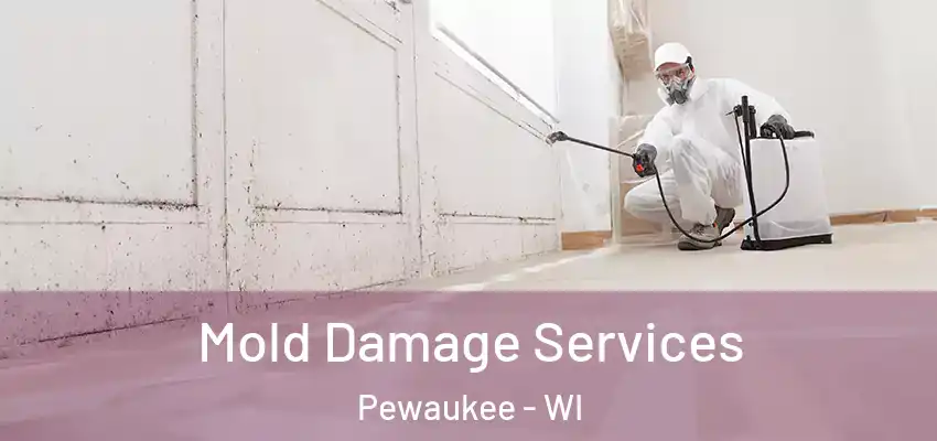  Mold Damage Services Pewaukee - WI