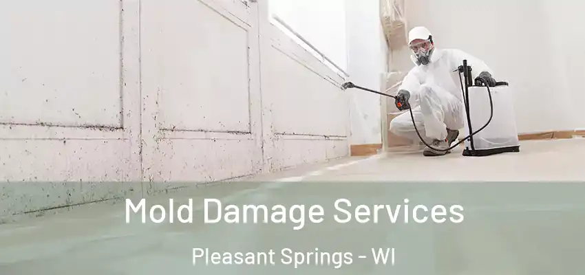 Mold Damage Services Pleasant Springs - WI