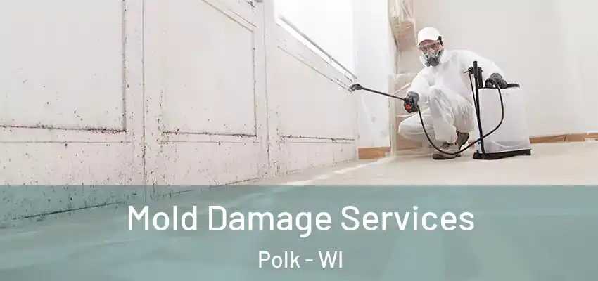 Mold Damage Services Polk - WI