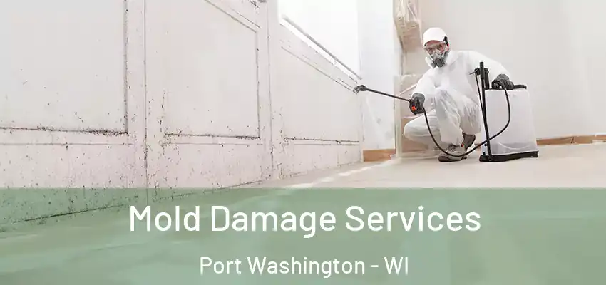  Mold Damage Services Port Washington - WI