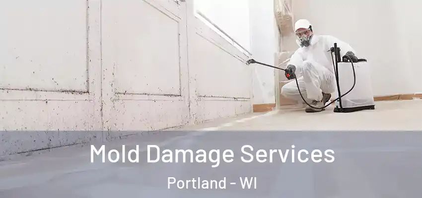  Mold Damage Services Portland - WI