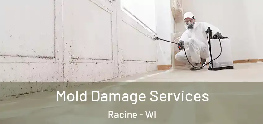 Mold Damage Services Racine - WI