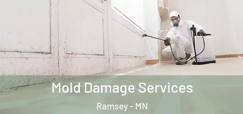 Mold Damage Services Ramsey - MN