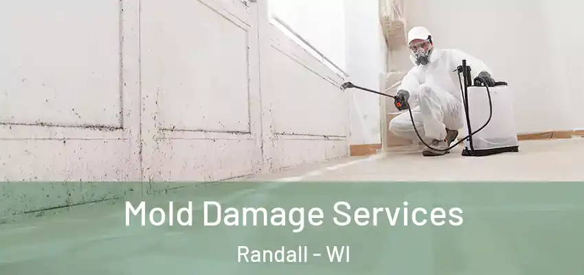  Mold Damage Services Randall - WI