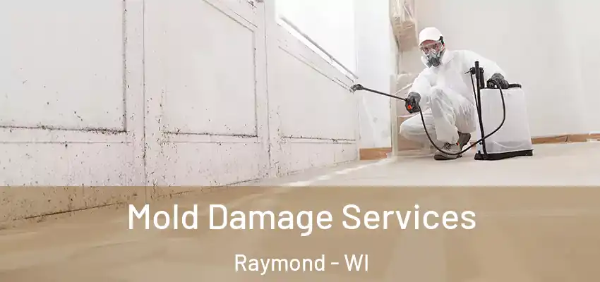  Mold Damage Services Raymond - WI