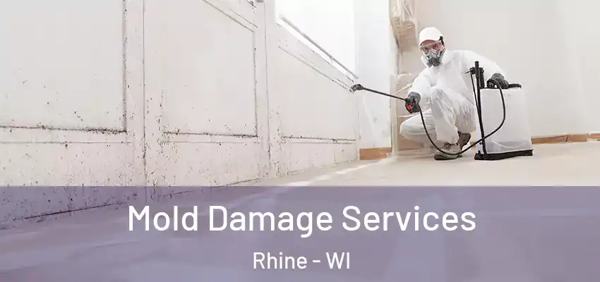 Mold Damage Services Rhine - WI