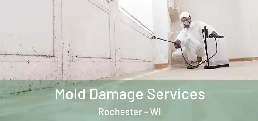 Mold Damage Services Rochester - WI
