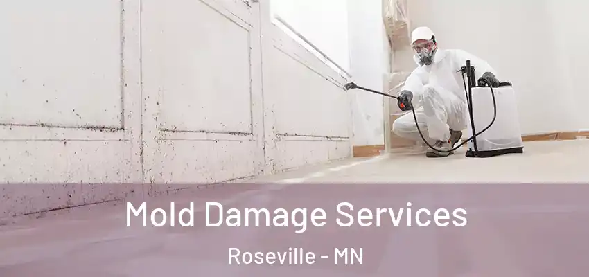 Mold Damage Services Roseville - MN