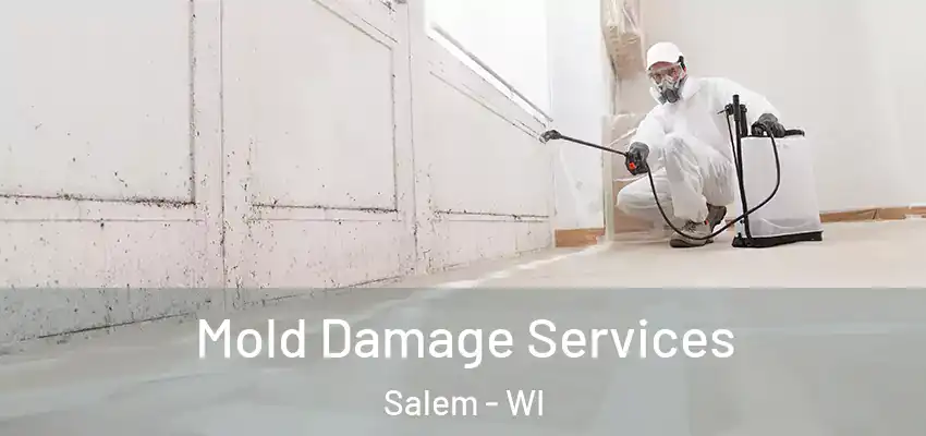 Mold Damage Services Salem - WI