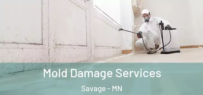  Mold Damage Services Savage - MN