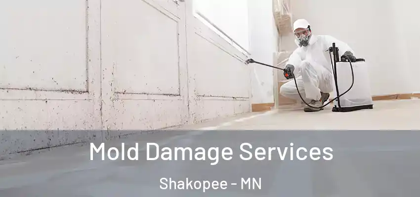 Mold Damage Services Shakopee - MN