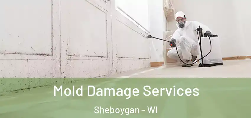 Mold Damage Services Sheboygan - WI