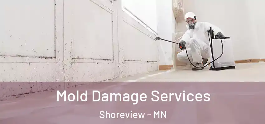  Mold Damage Services Shoreview - MN