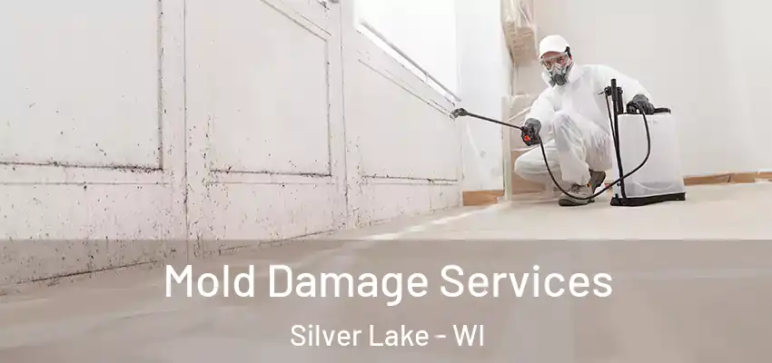 Mold Damage Services Silver Lake - WI