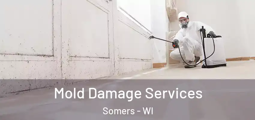Mold Damage Services Somers - WI