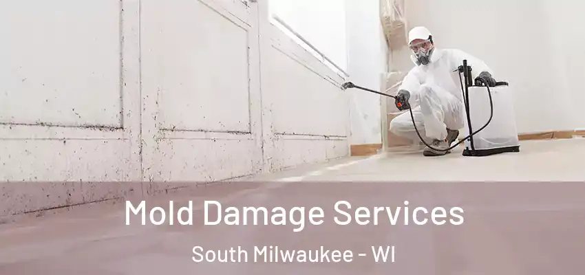  Mold Damage Services South Milwaukee - WI