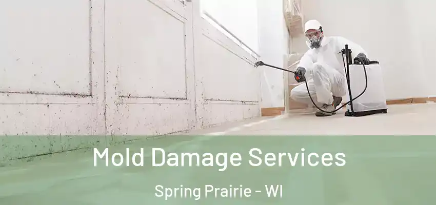 Mold Damage Services Spring Prairie - WI