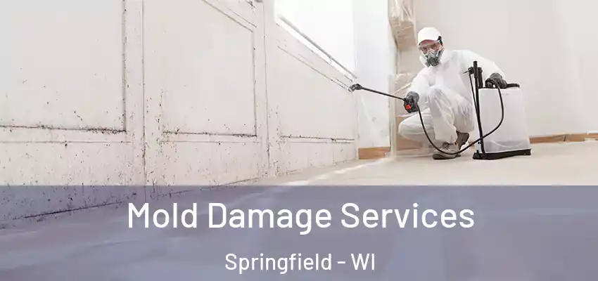  Mold Damage Services Springfield - WI