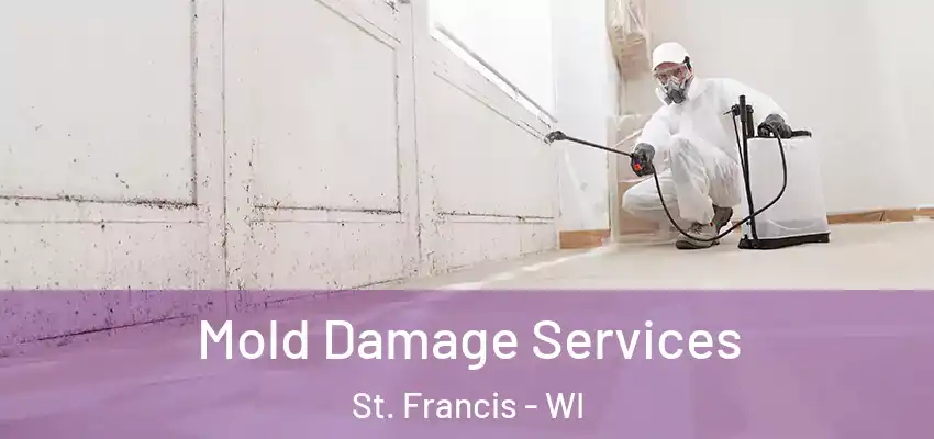  Mold Damage Services St. Francis - WI