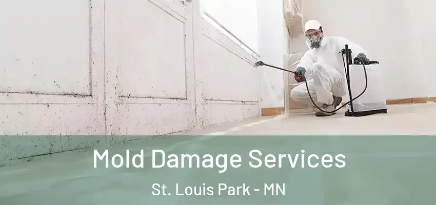 Mold Damage Services St. Louis Park - MN