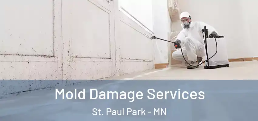  Mold Damage Services St. Paul Park - MN