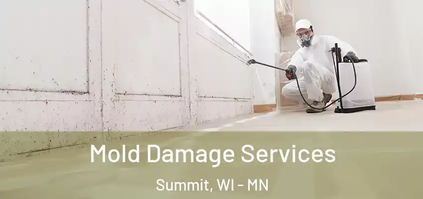  Mold Damage Services Summit, WI - MN