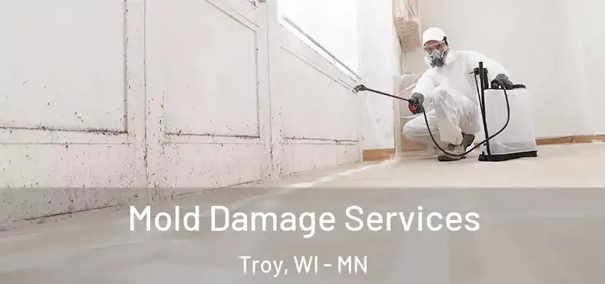 Mold Damage Services Troy, WI - MN