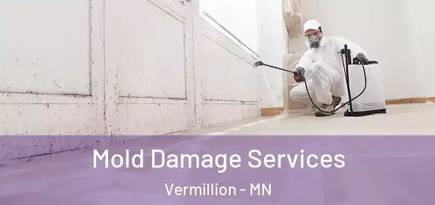Mold Damage Services Vermillion - MN