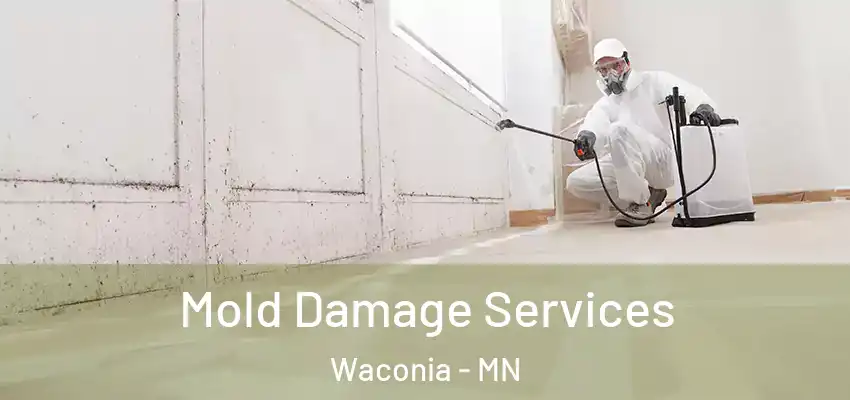 Mold Damage Services Waconia - MN