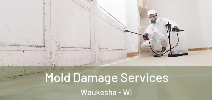  Mold Damage Services Waukesha - WI