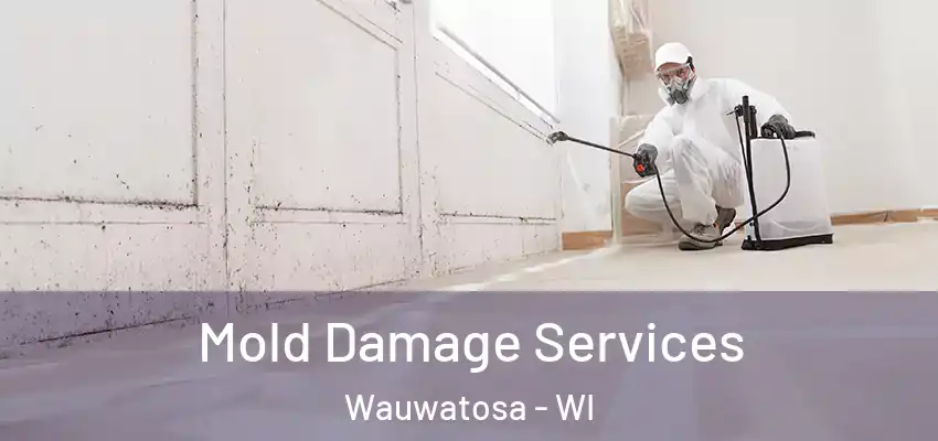  Mold Damage Services Wauwatosa - WI