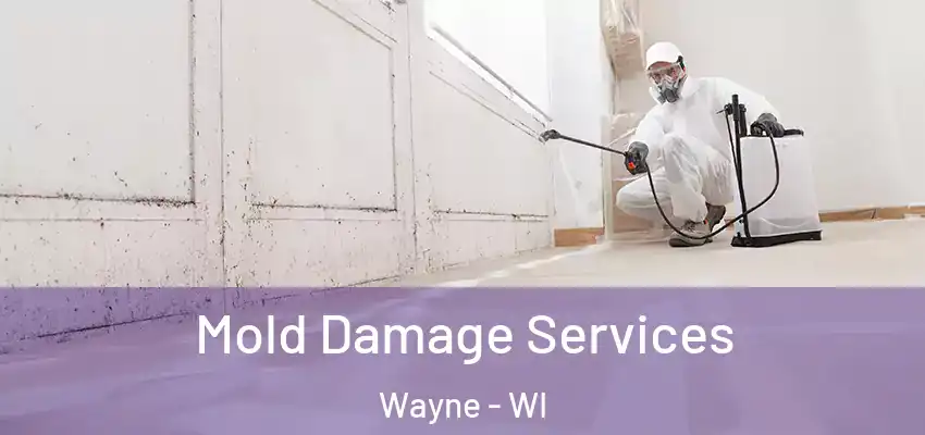  Mold Damage Services Wayne - WI