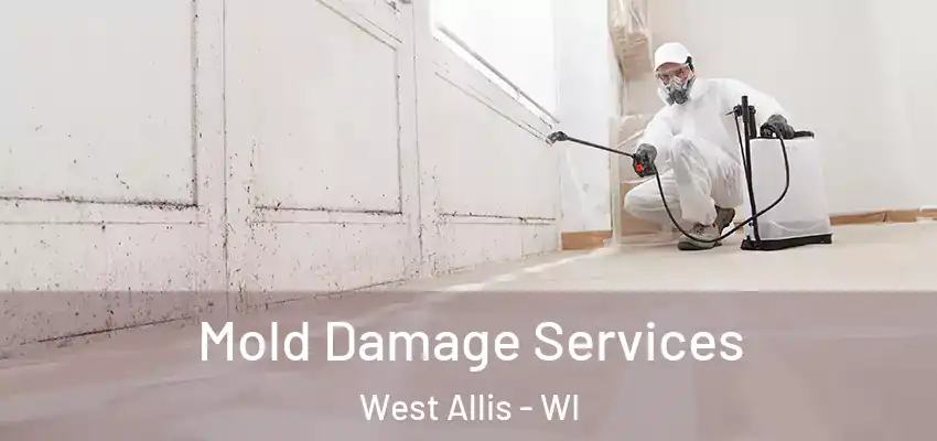  Mold Damage Services West Allis - WI