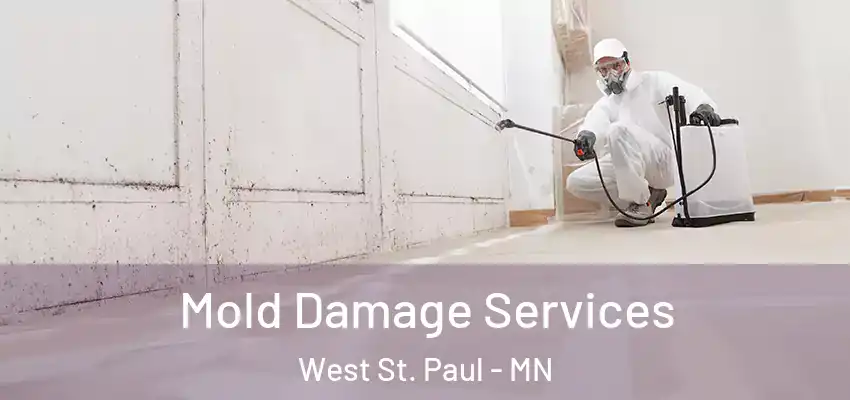  Mold Damage Services West St. Paul - MN