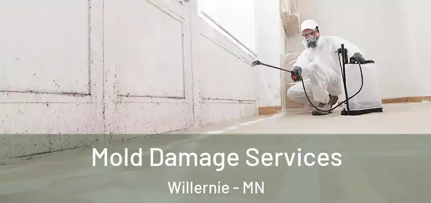  Mold Damage Services Willernie - MN
