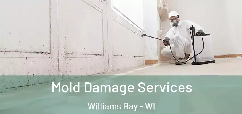 Mold Damage Services Williams Bay - WI