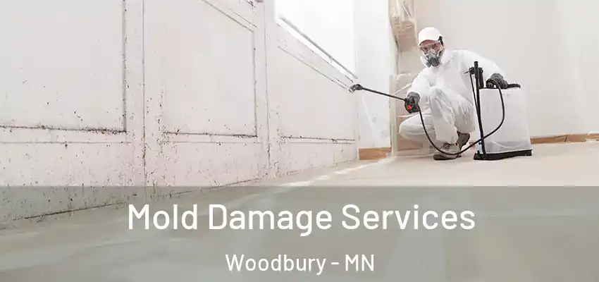  Mold Damage Services Woodbury - MN