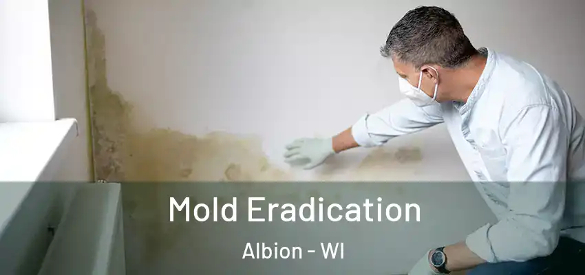 Mold Eradication Albion - WI