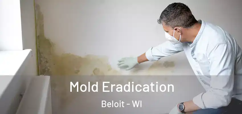  Mold Eradication Beloit - WI