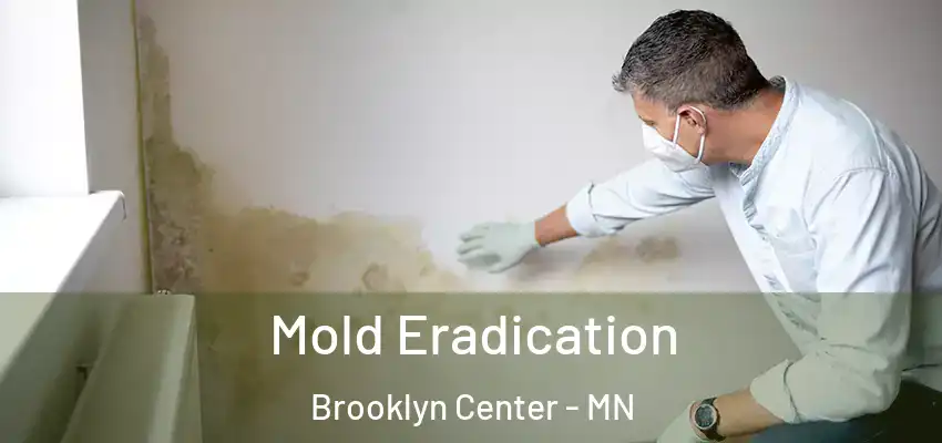  Mold Eradication Brooklyn Center - MN