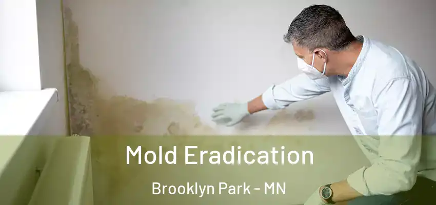  Mold Eradication Brooklyn Park - MN