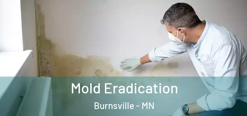  Mold Eradication Burnsville - MN