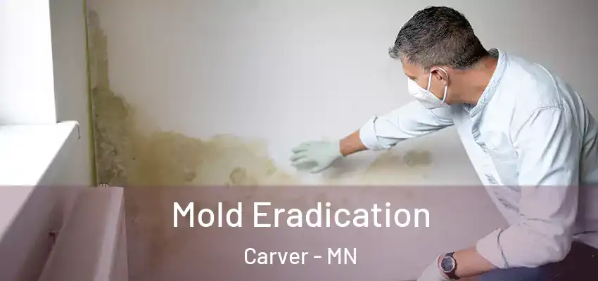  Mold Eradication Carver - MN
