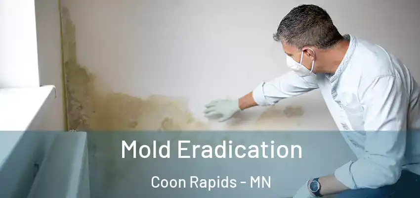  Mold Eradication Coon Rapids - MN