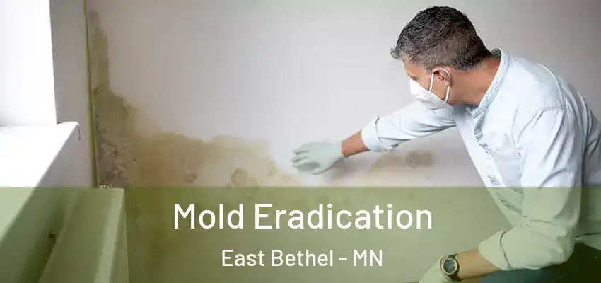  Mold Eradication East Bethel - MN