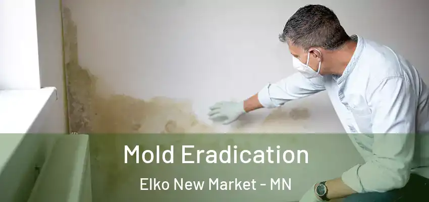  Mold Eradication Elko New Market - MN