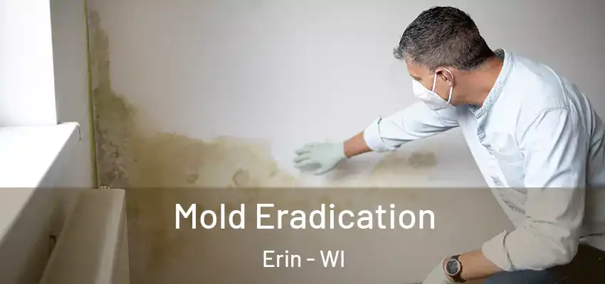  Mold Eradication Erin - WI