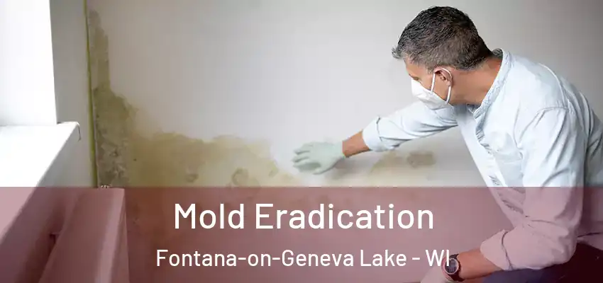  Mold Eradication Fontana-on-Geneva Lake - WI